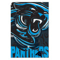Carolina Panthers, Suede GDN, Justin Patten Logo
