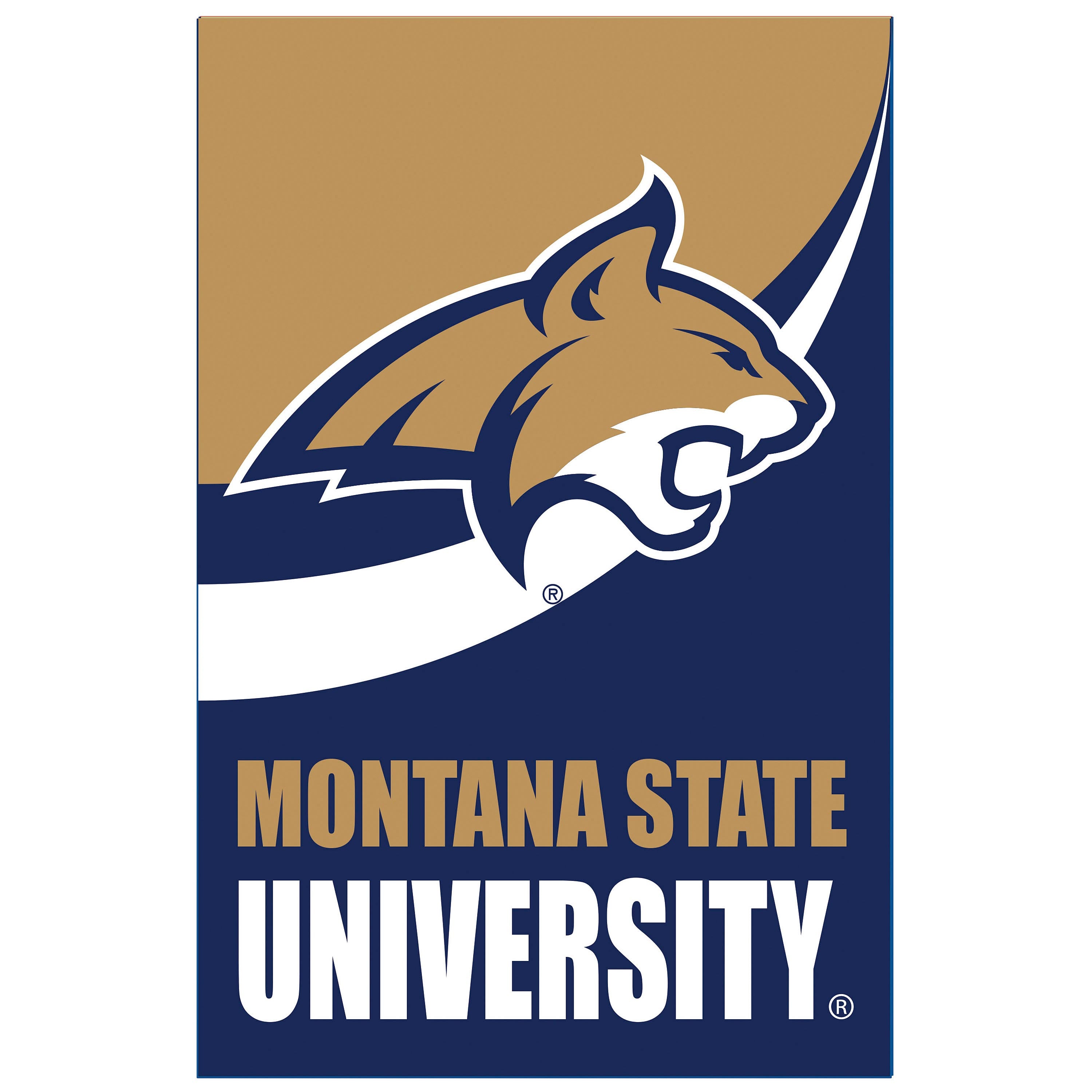 Montana State University Burlap Flag House Size