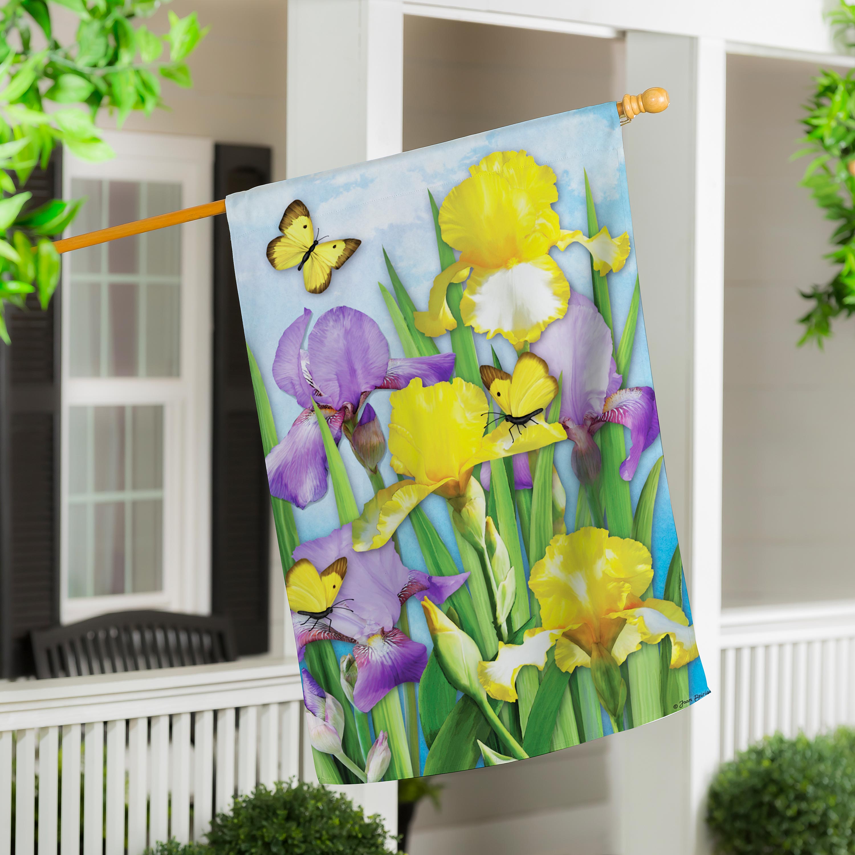 Irises in Spring Suede House Flag