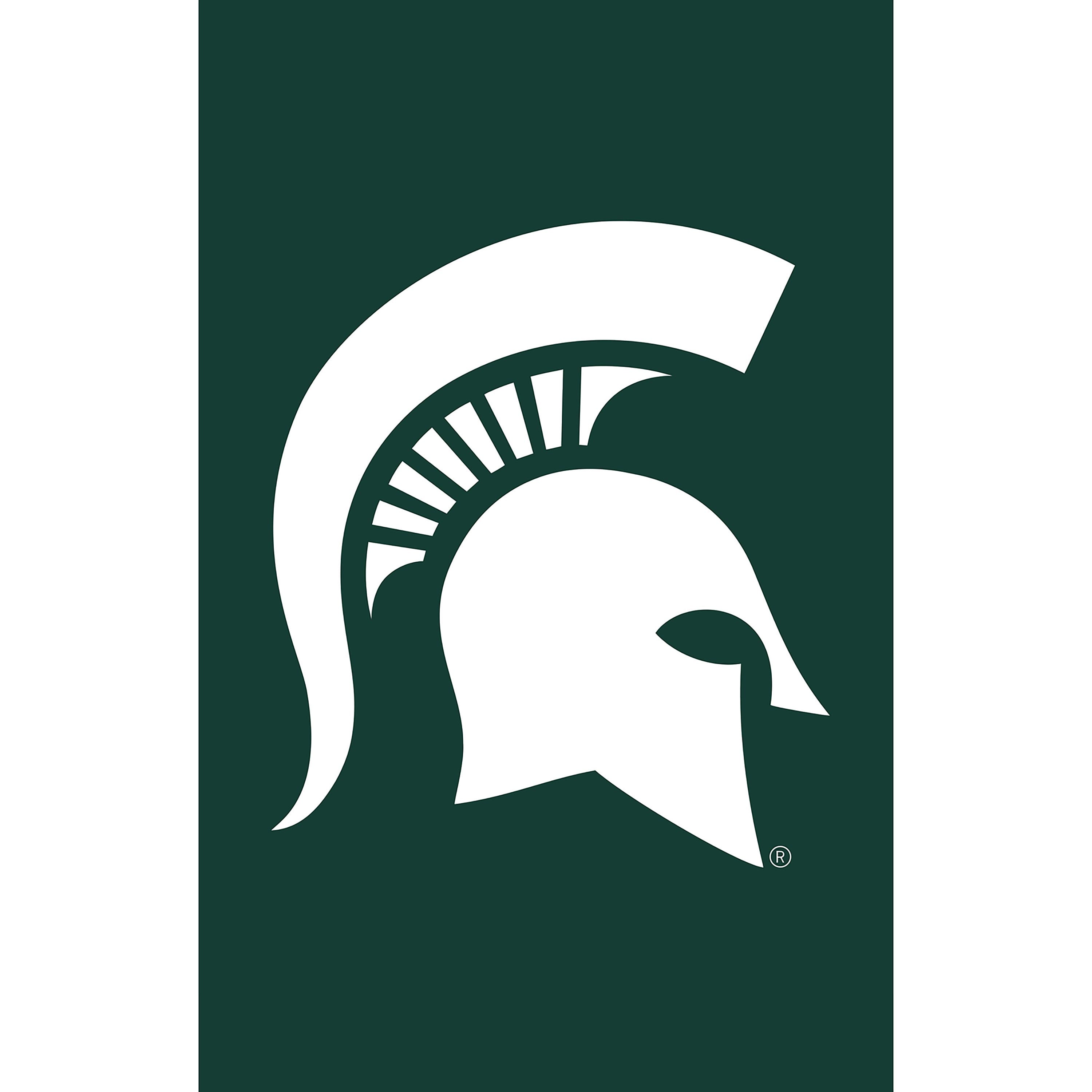 Michigan State University Applique Garden Flag