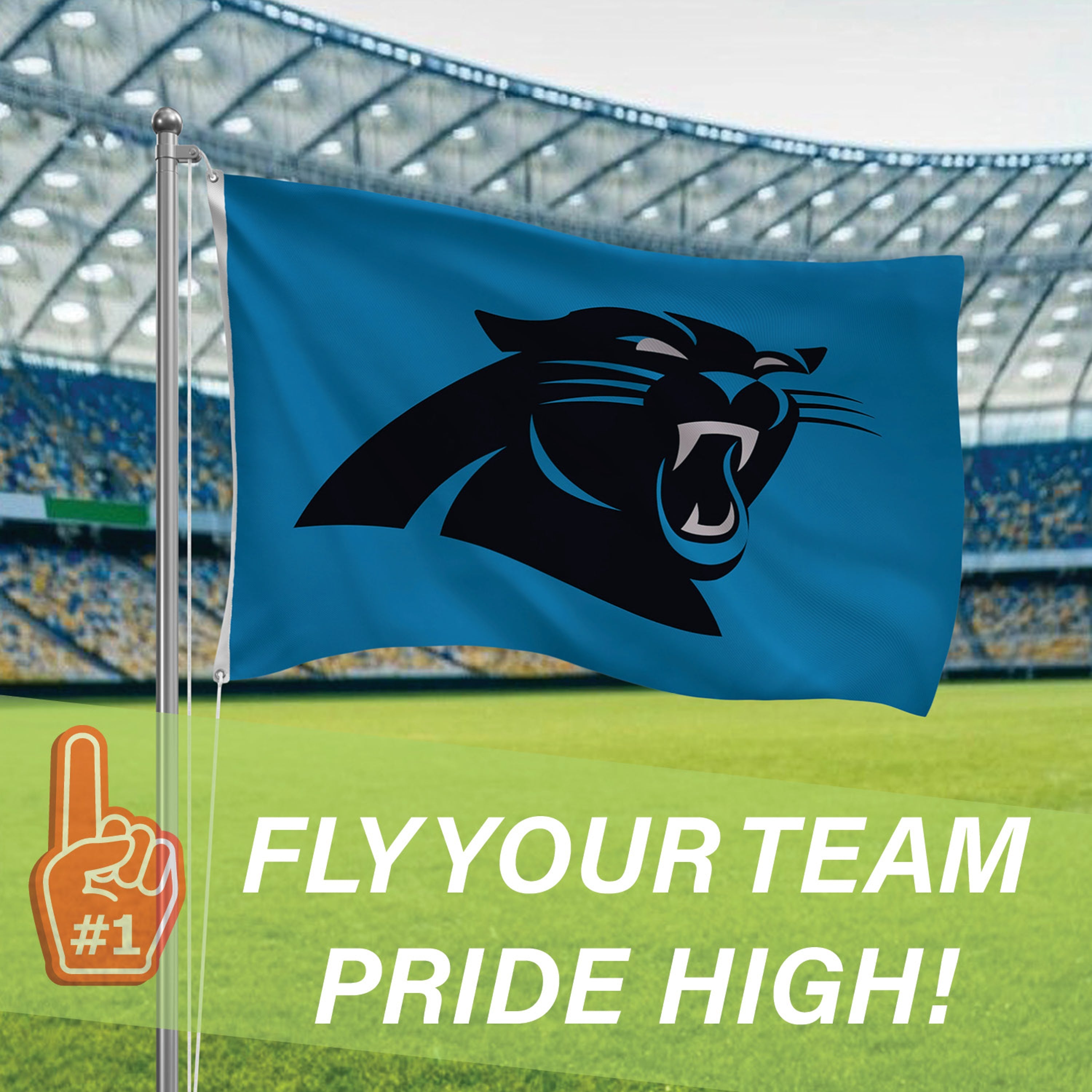 Carolina Panthers Single Sided Flag w/ 2 Grommets, 3'x5'