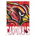 Arizona Cardinals, Suede GDN, Justin Patten Logo