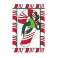 Candy Cane Applique Garden Flag