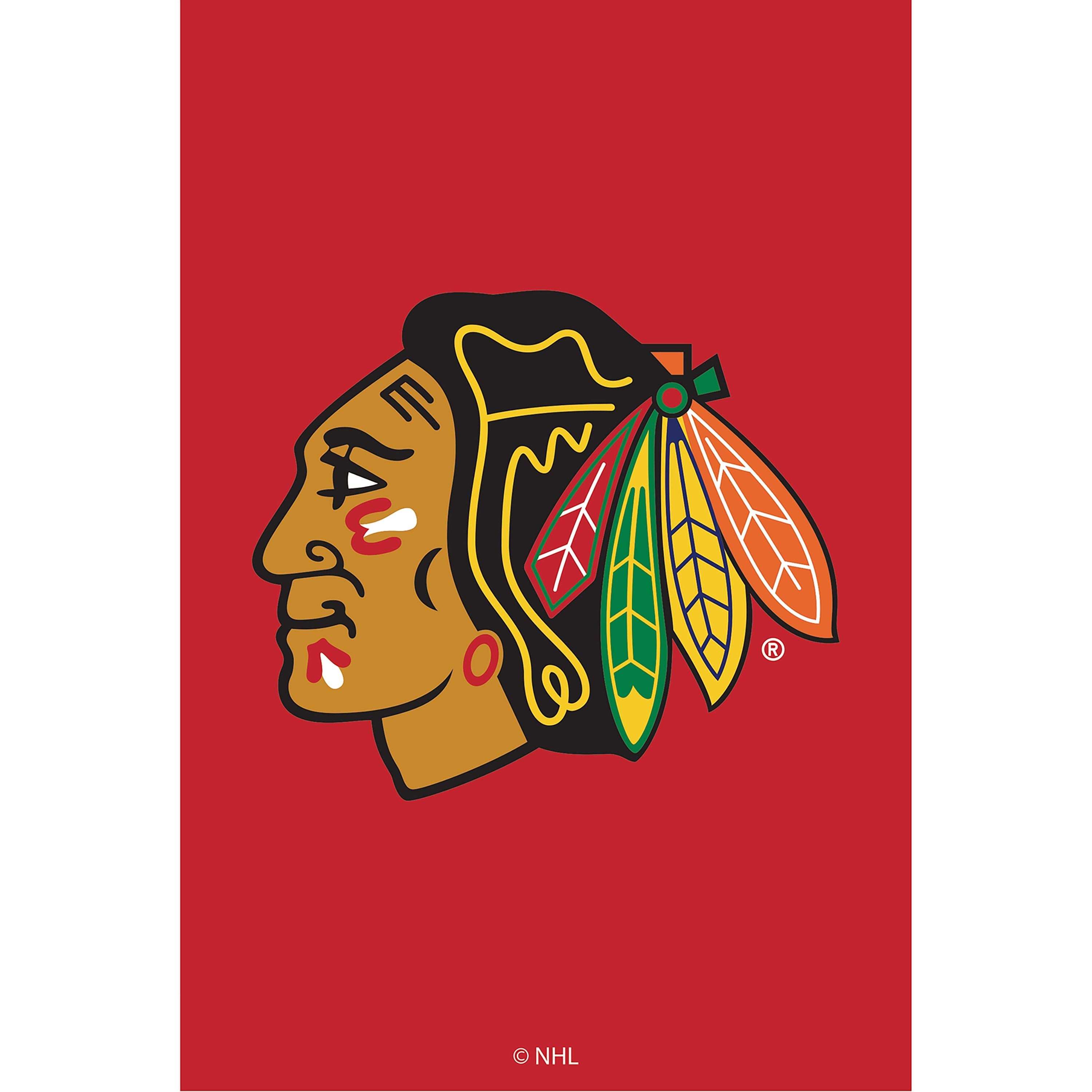 Chicago Blackhawks Applique House Flag