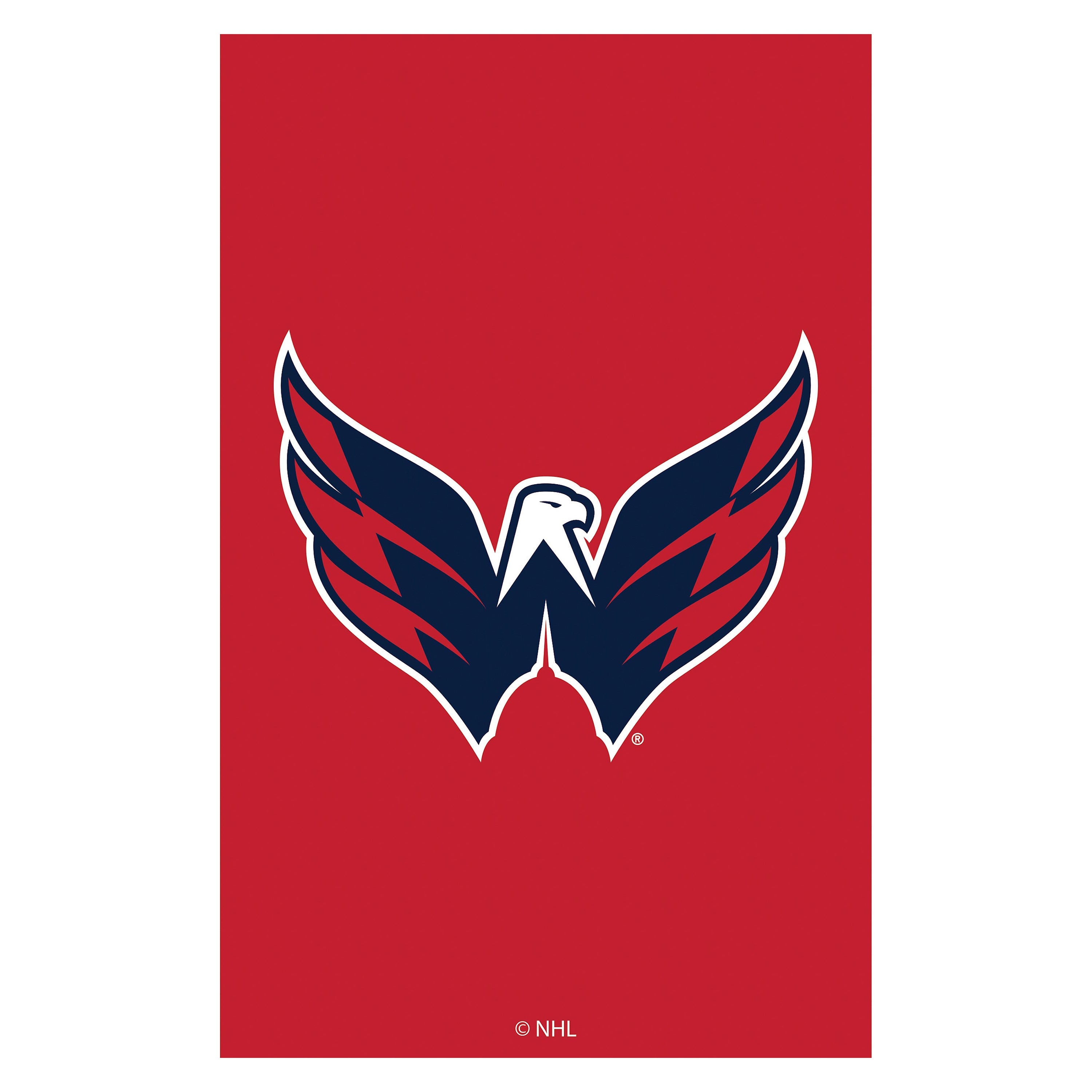Applique Flag, Reg, Washington Capitals