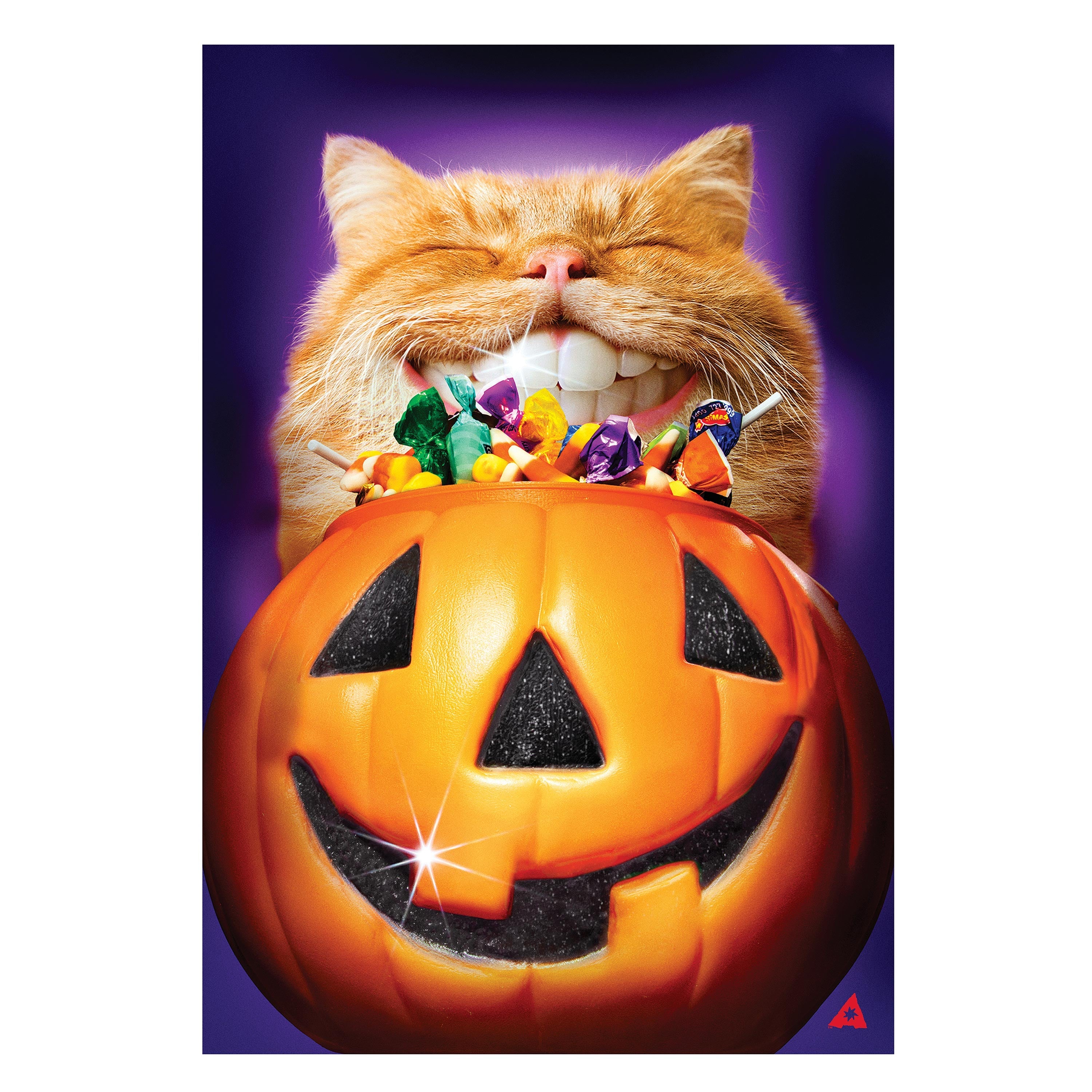 Cat Jack O'Lantern Pumpkin Teeth Suede Garden Flag