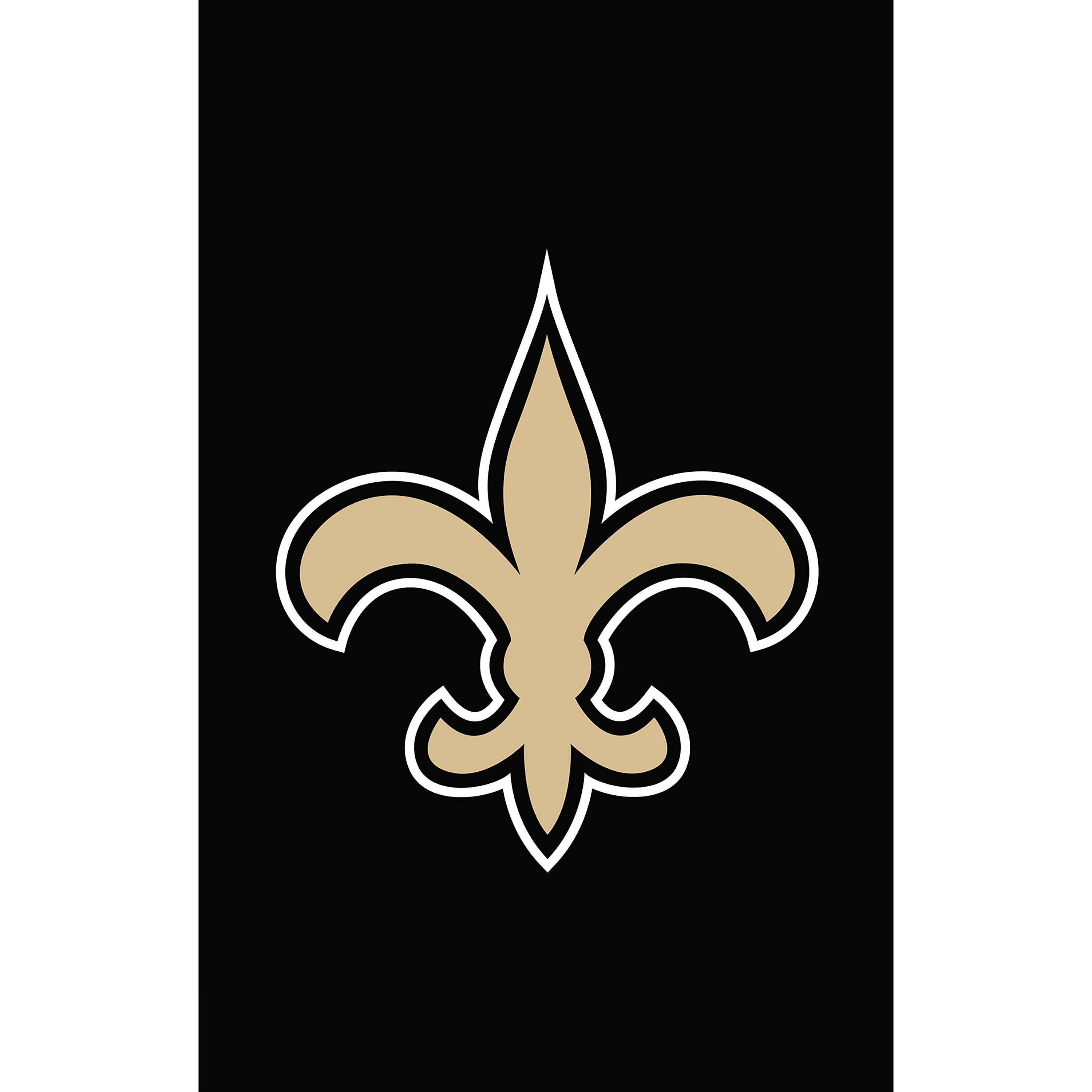 New Orleans Saints Applique Garden Flag