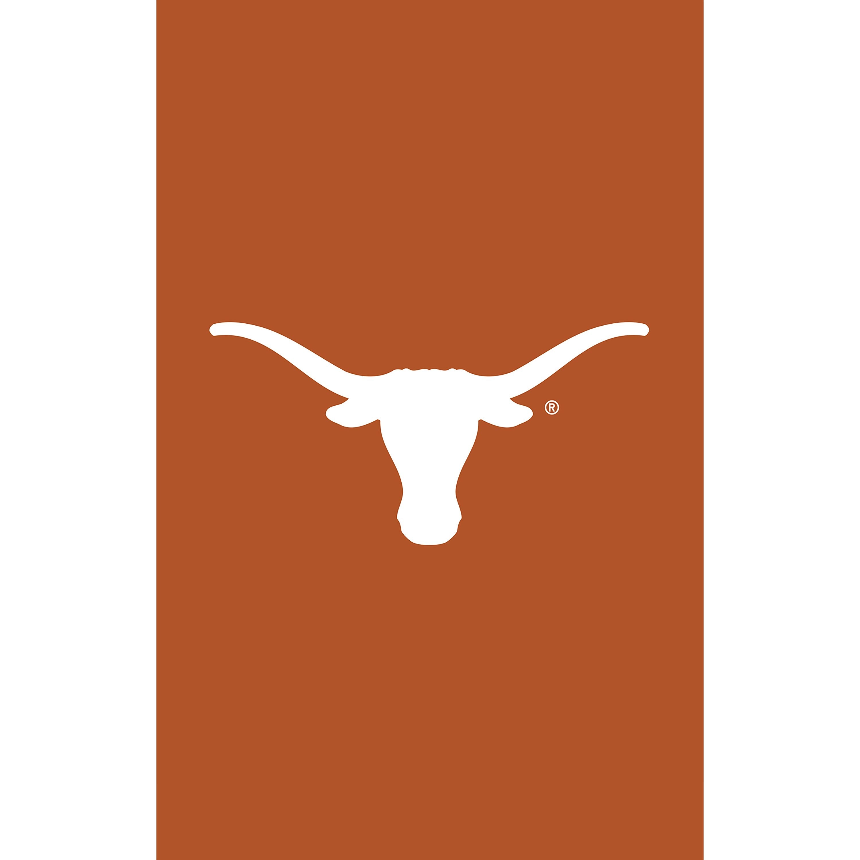 University of Texas Applique House Flag