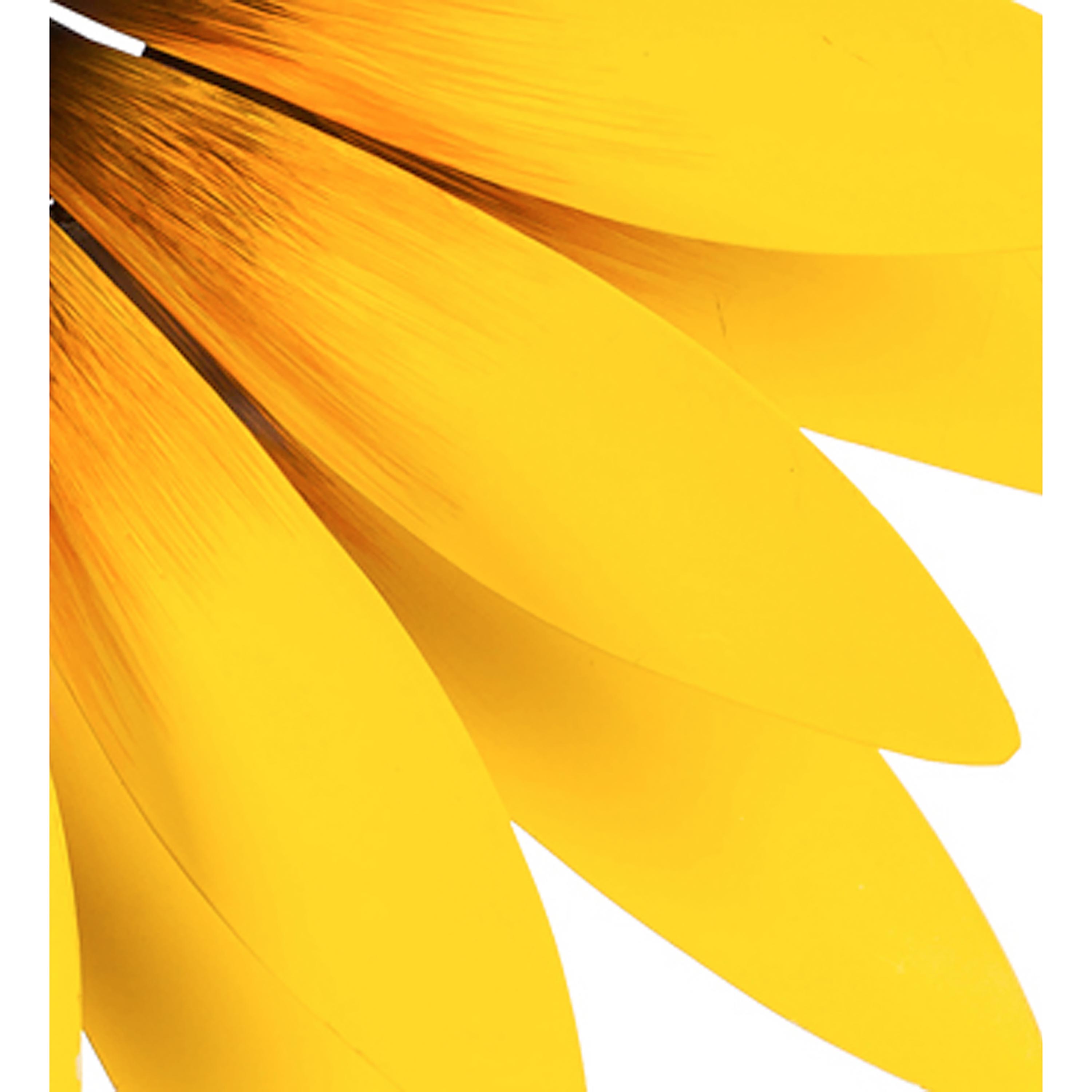 Hillside Pasture Wind Spinner, Sunflower Statement Wind Spinner, 75"H