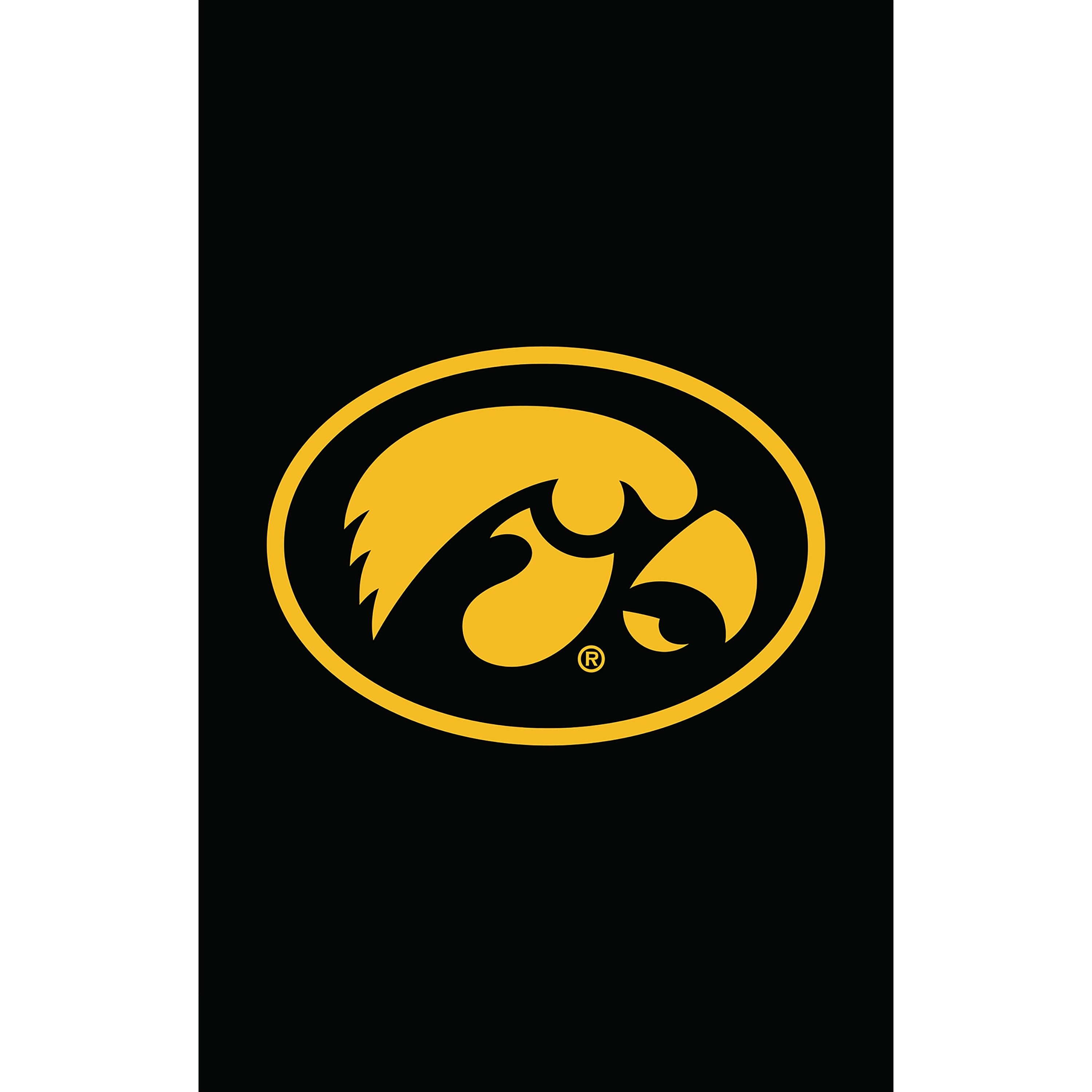 University of Iowa Applique House Flag