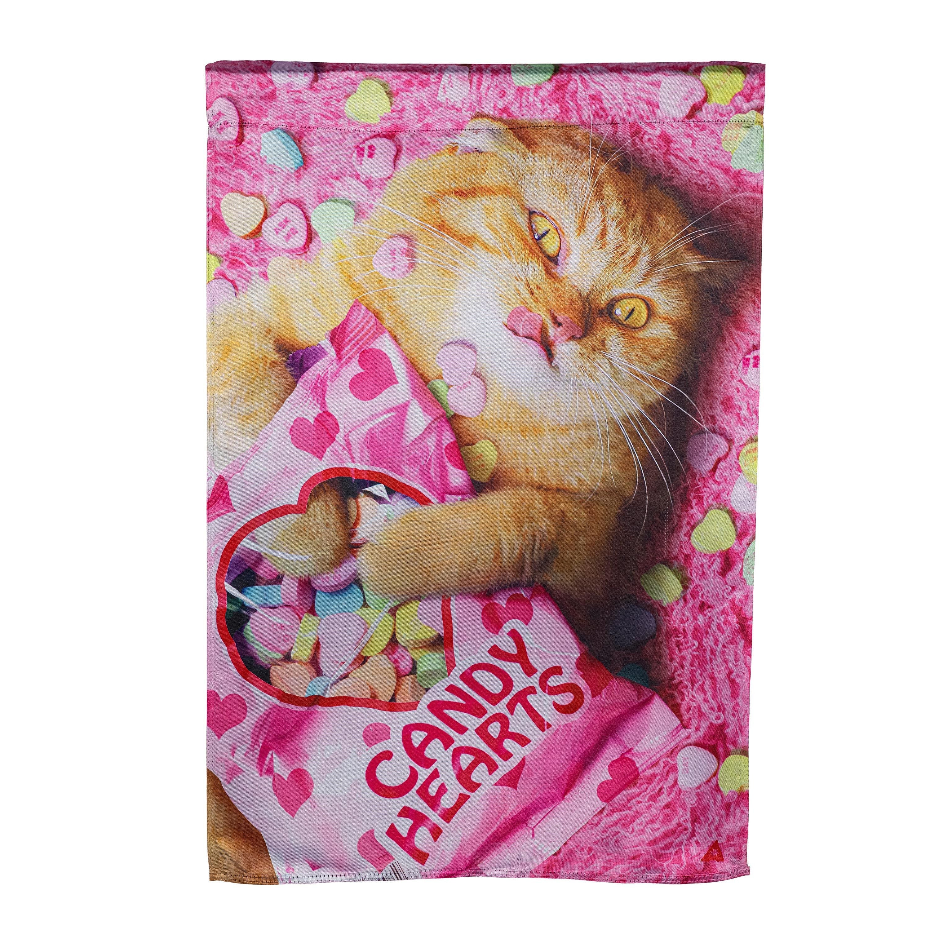 Cat With Candy Heart Lustre House Flag
