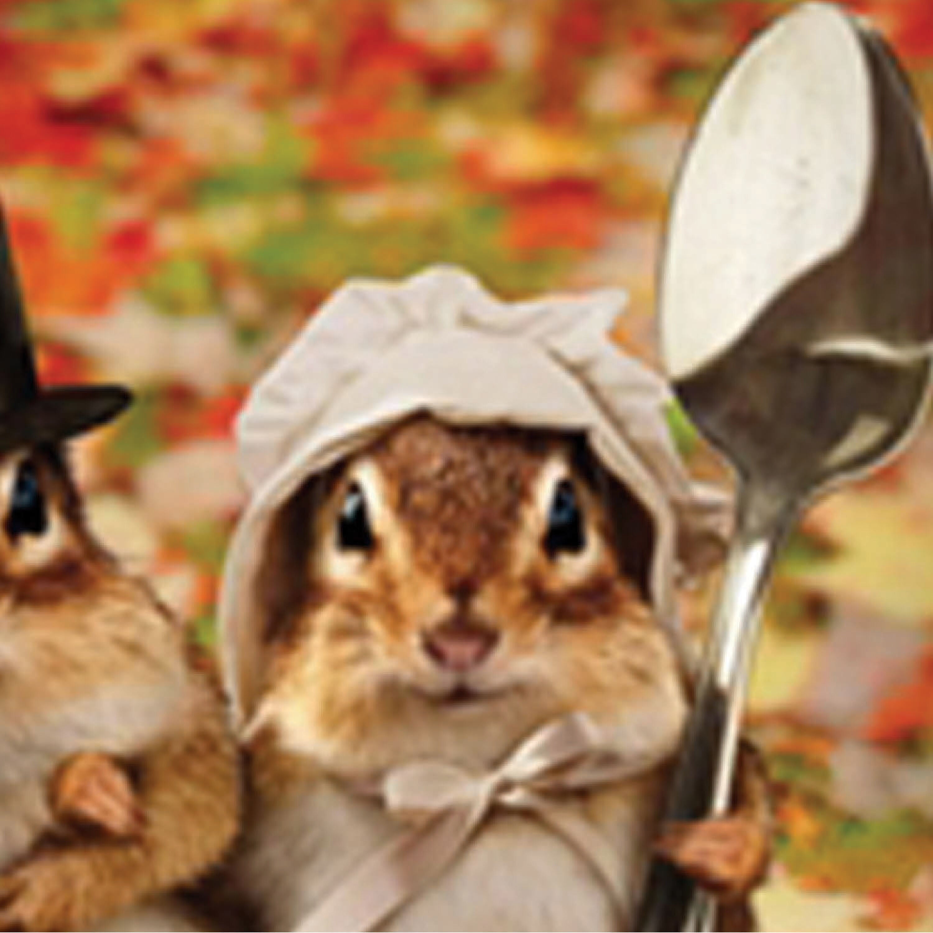Thanksgiving Gothic Chipmunks Garden Satin Flag