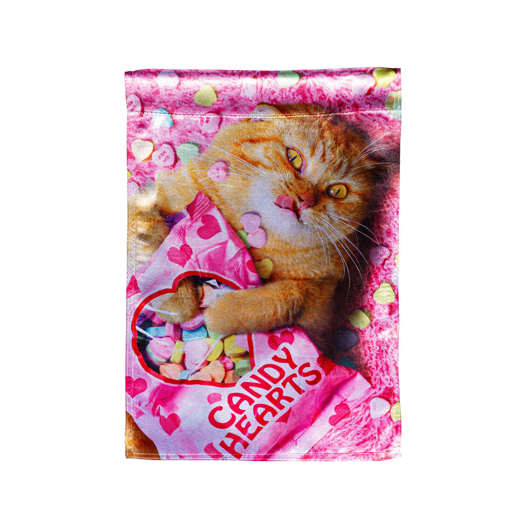 Cat With Candy Heart Lustre Garden Flag