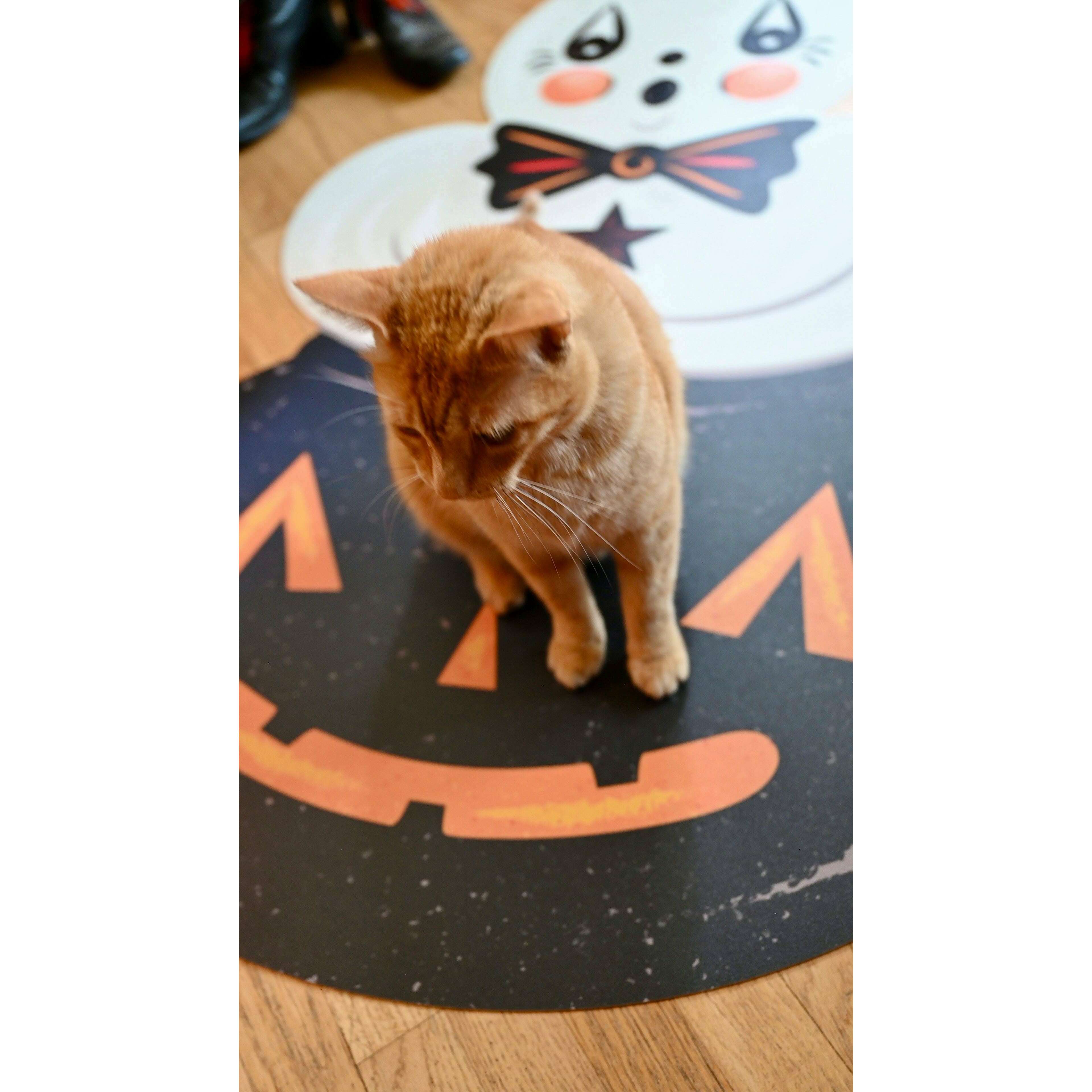 Ghostie in Caudron 56" Die Cut Vinyl Halloween Floor Decor by Johanna Parker